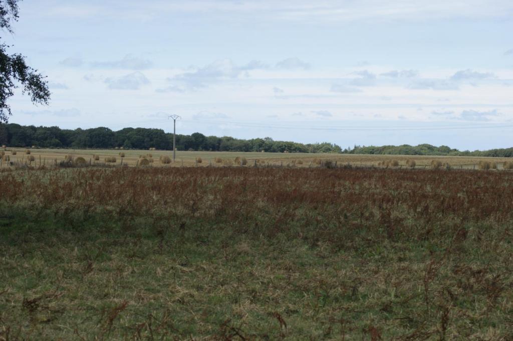 Le Tiot Gîte photo 2