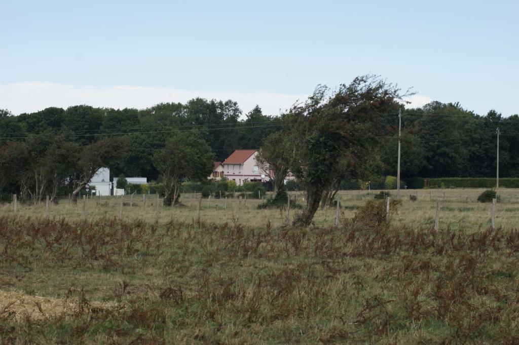 Le Tiot Gîte photo 1