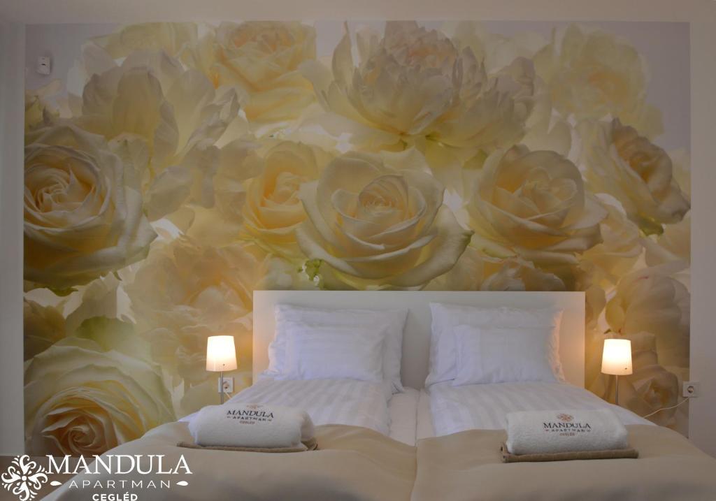 Mandula Apartman photo 1