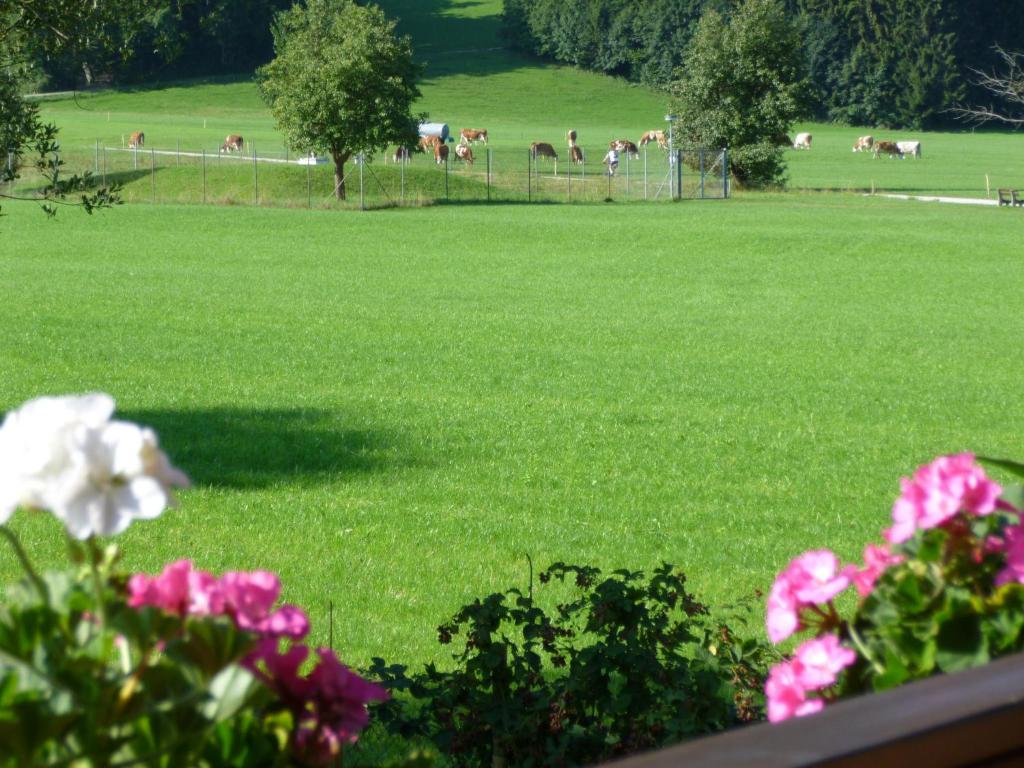 Ferienwohnungen Edmeier photo 4