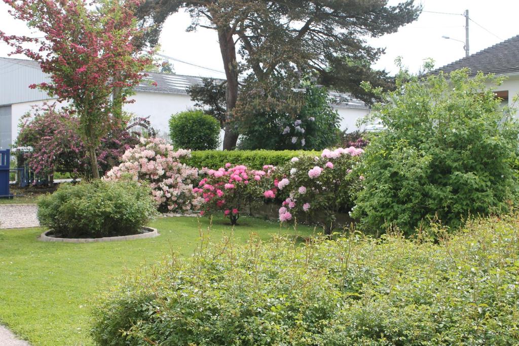 Une Chambre D'Hote Yvetot photo 2