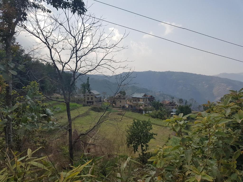 Patlekhet Community Homestay photo 2