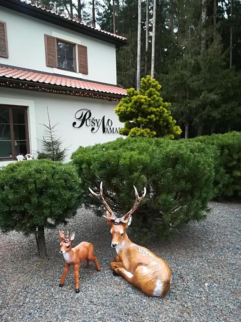 Hotel Pušyno Namai photo 1