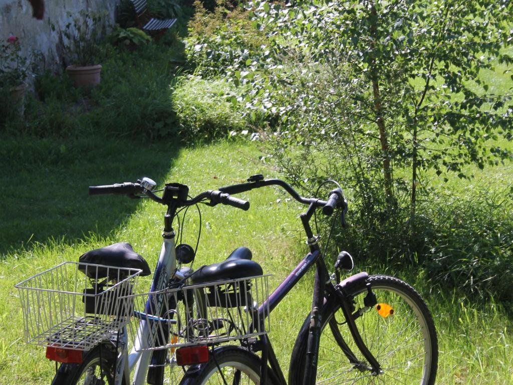 Lush Apartment in Steffenshagen with Garden photo 2