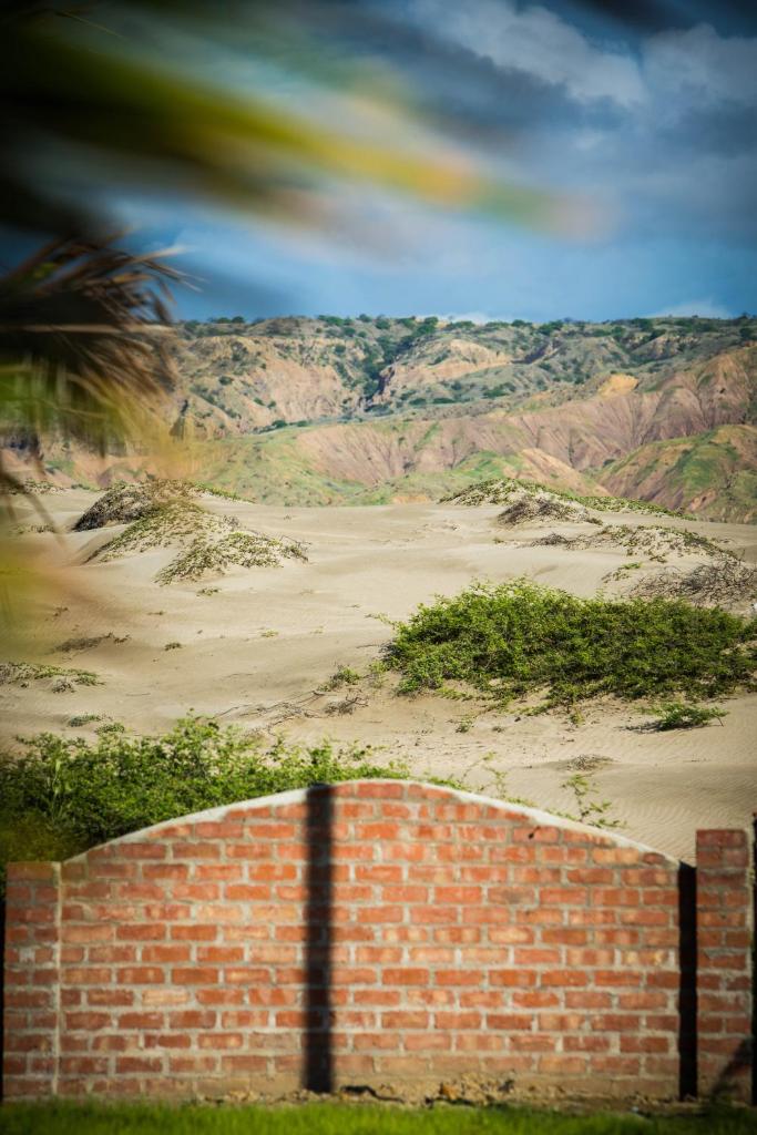 Villa al Fe photo 3