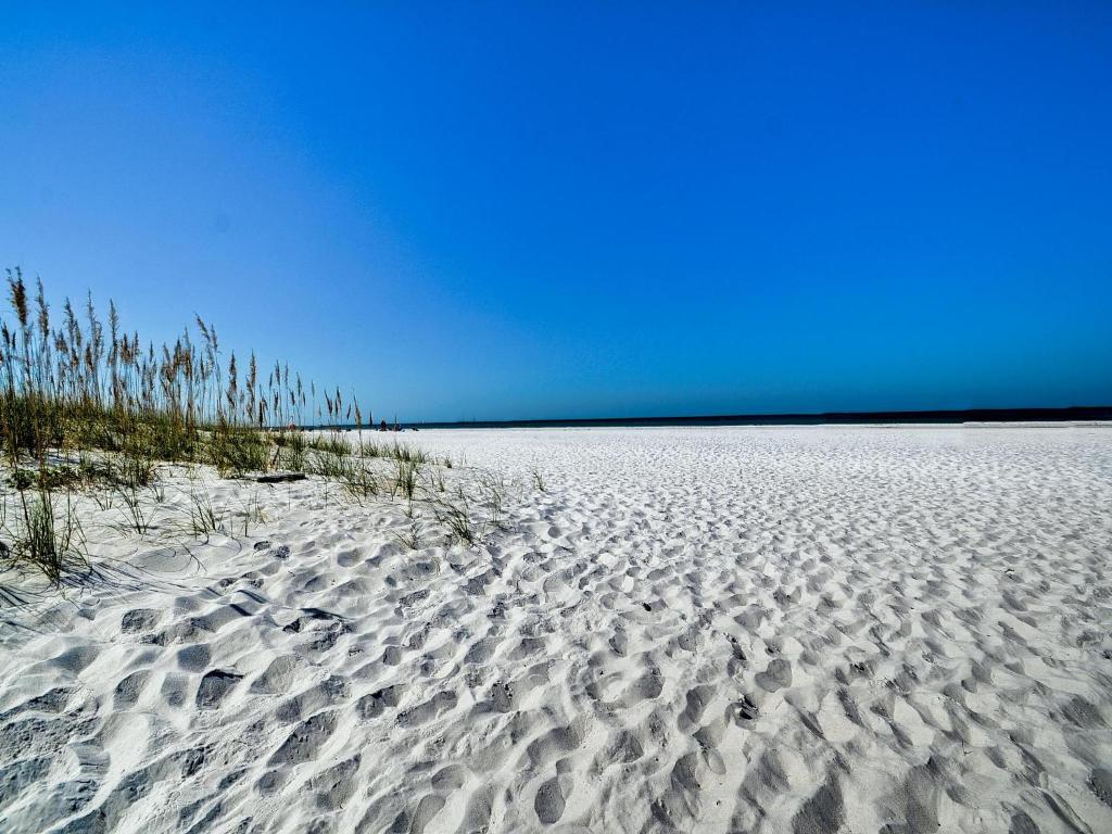 Palm Place 2 - Coconut Palm Beach getaway 623 image