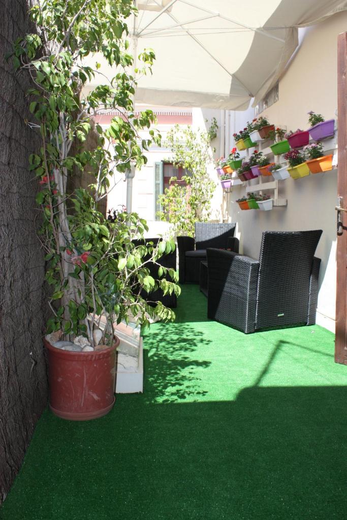 MmeBassia photo 2