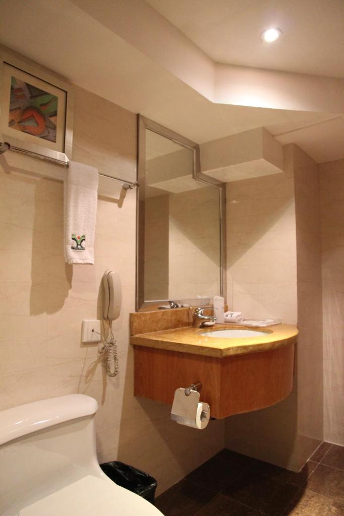 Двухместный (Двухместный номер с 1 кроватью), Yihe Hotel Ouzhuang