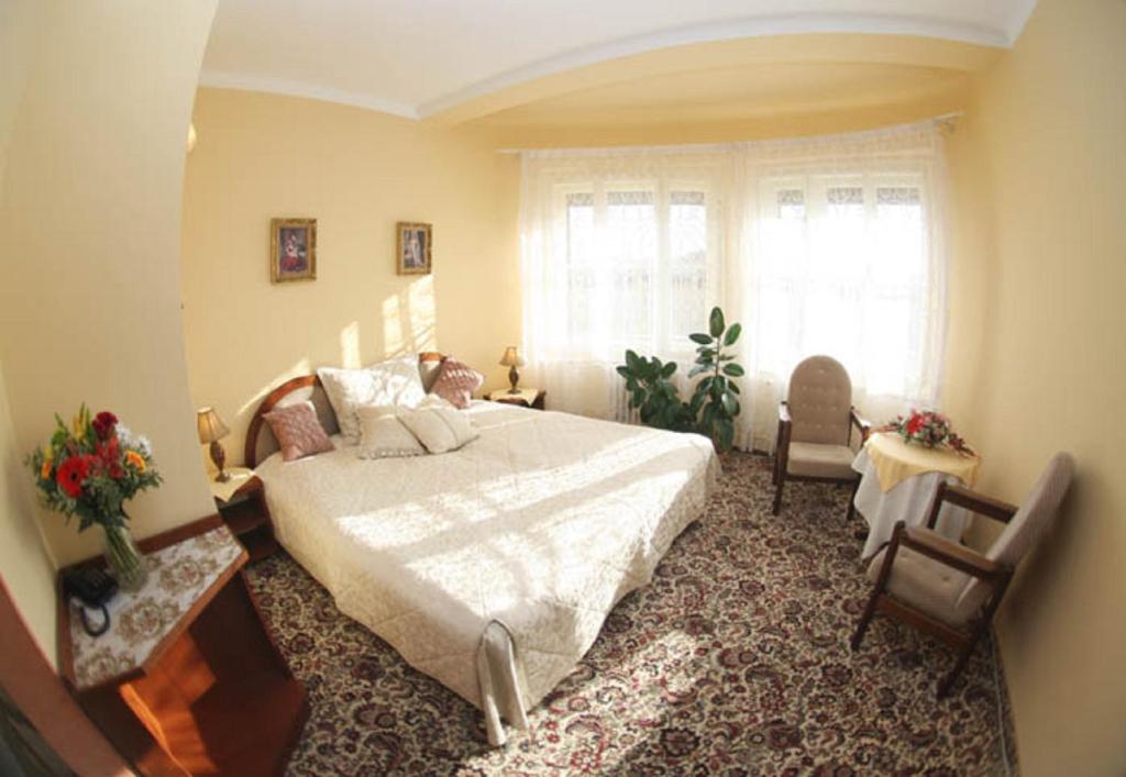 Двухместный (Двухместный номер с 1 кроватью), Отель Antonie