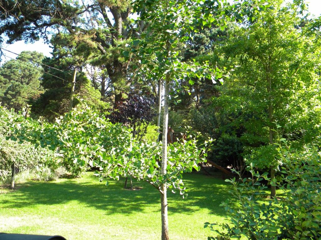 Casa los Tilos photo 4