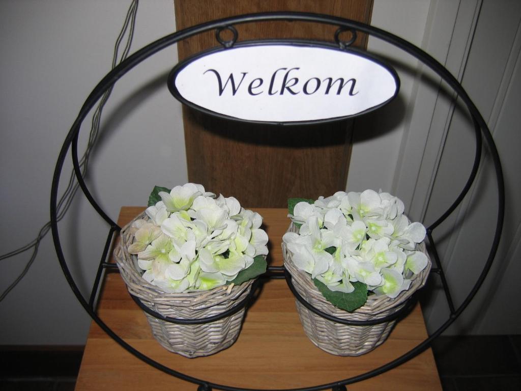 De Martiene Plats B&B & Appartement photo 4