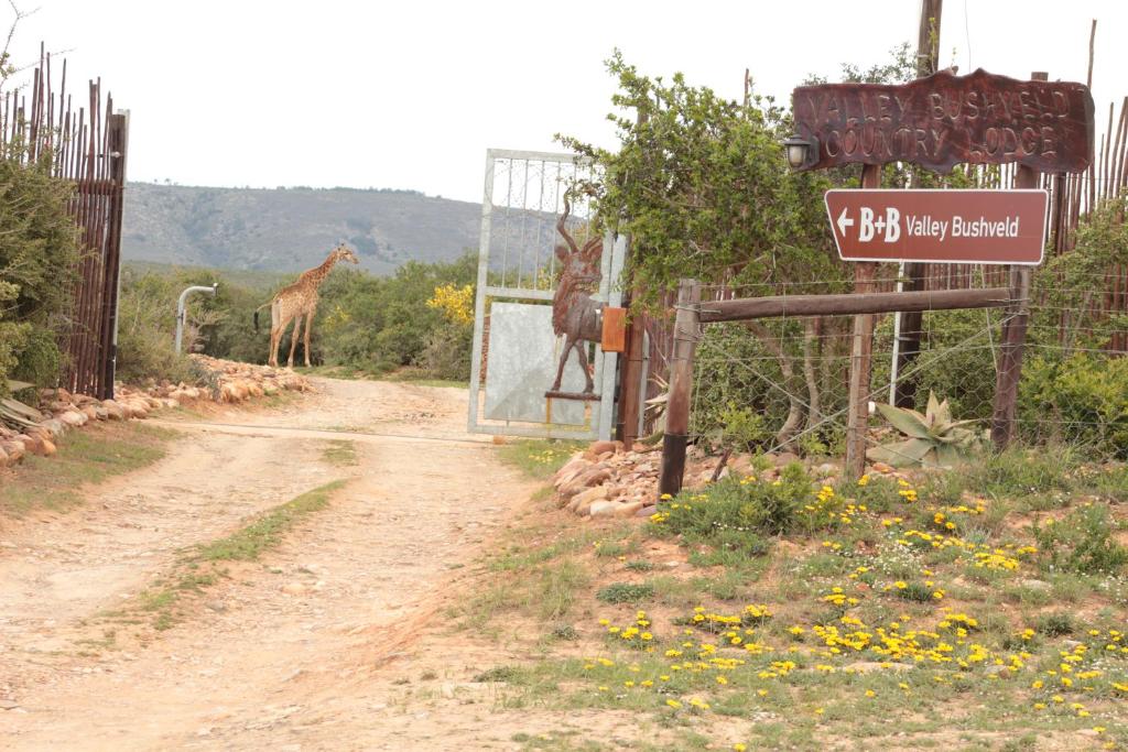 Valley Bushveld Country Lodge photo 2