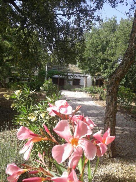 Camping Genal photo 3