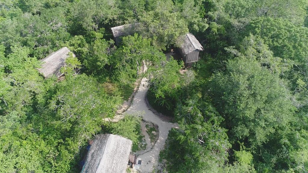 The Backwaters Lodge photo 3