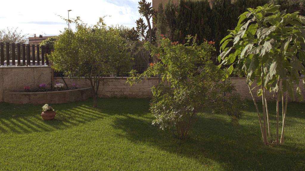 Il Giardino dell'Eden photo 1