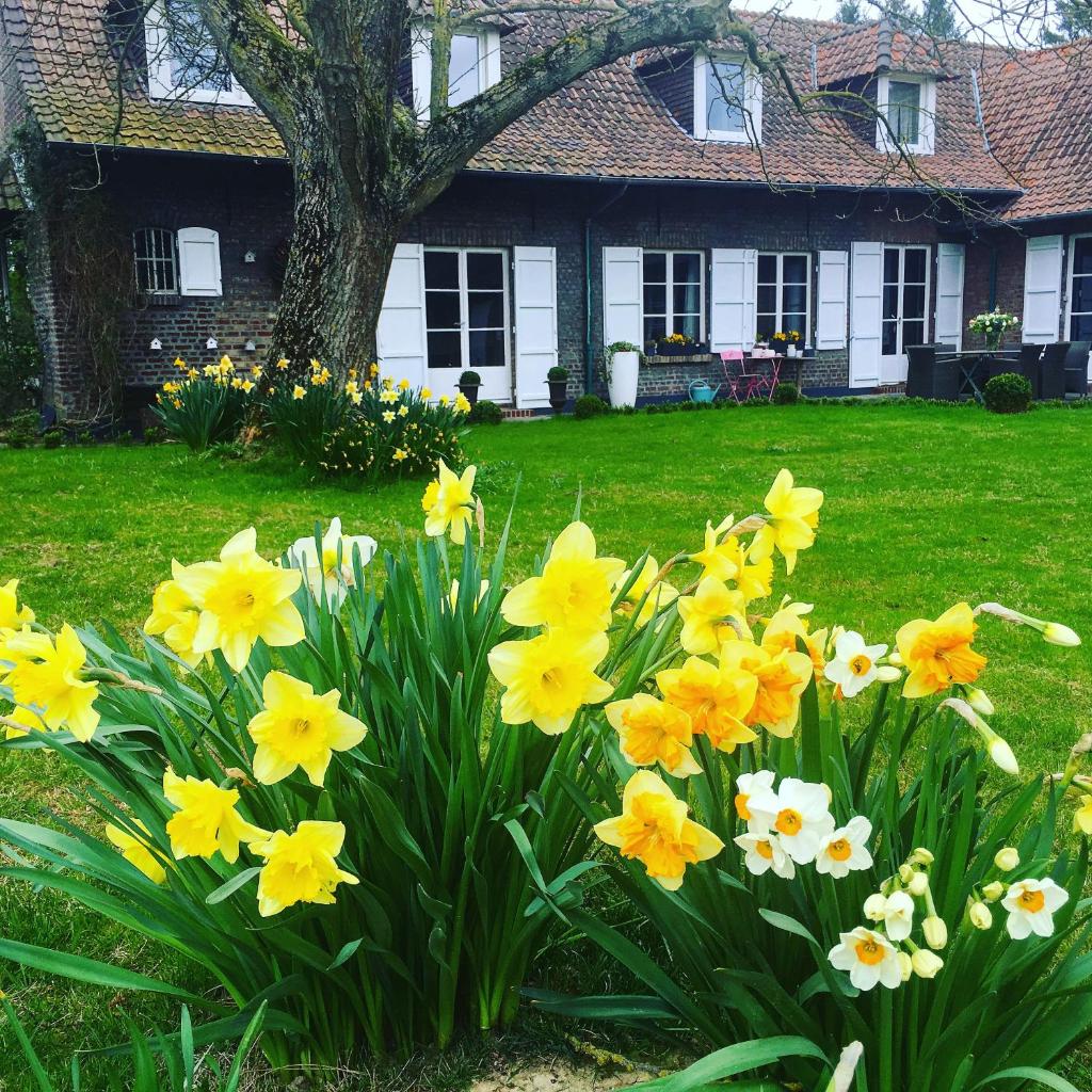 Le Clos de Bénédicte photo 4