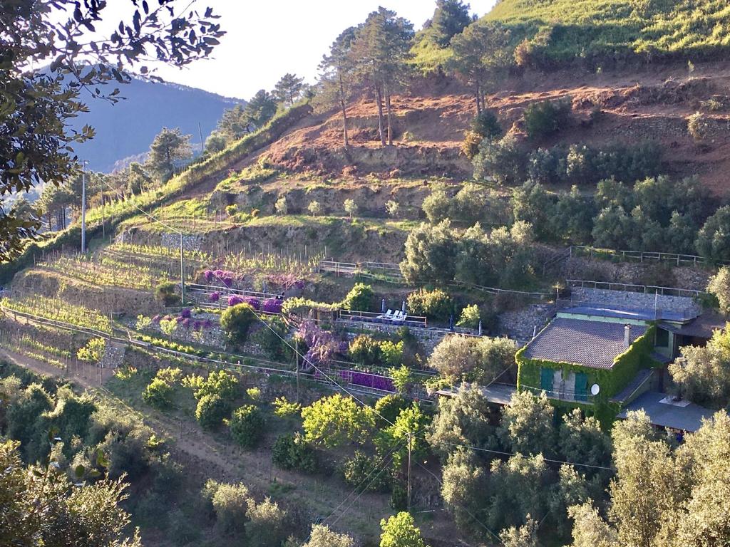 Villa Pietrafiore photo 3