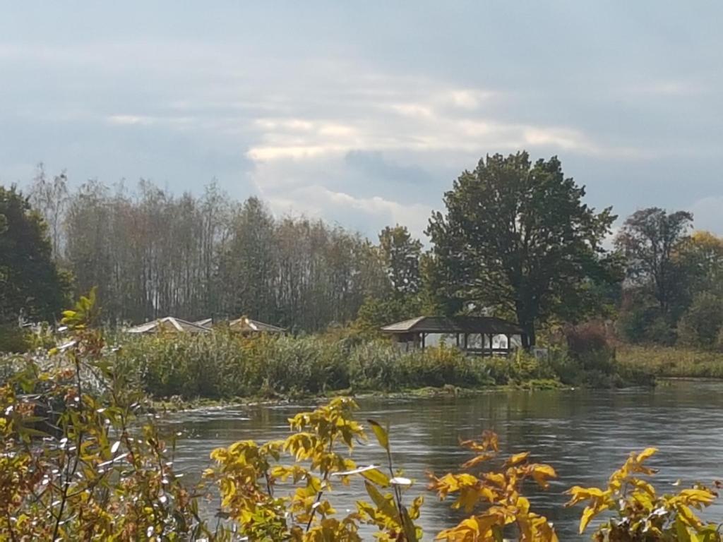 Domki Drewniane Przystań Kajaczek photo 1