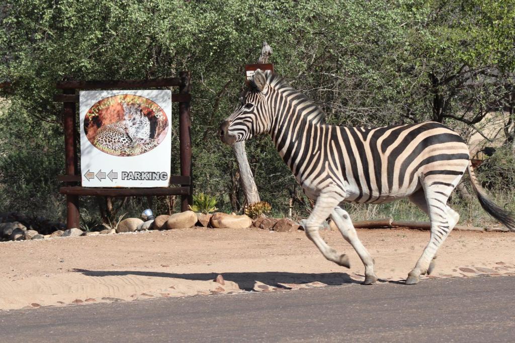 African Rock Lodge photo 1