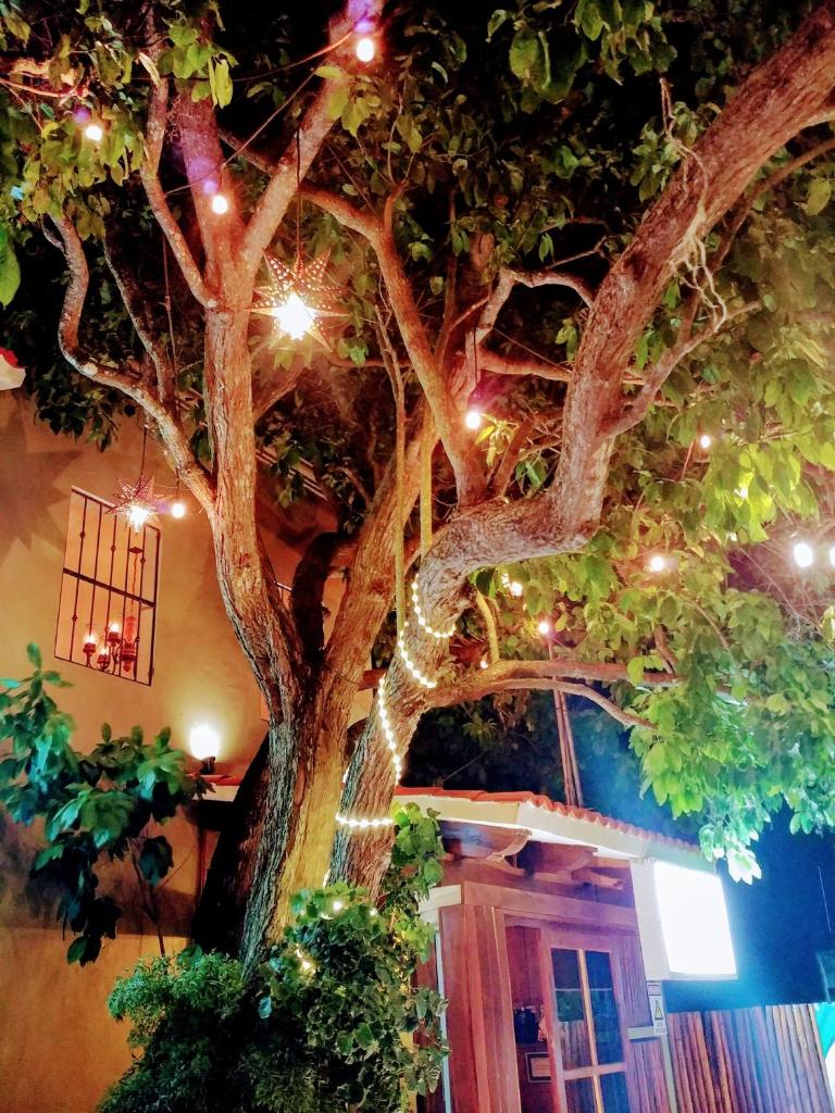 El Roble Hotel photo 4