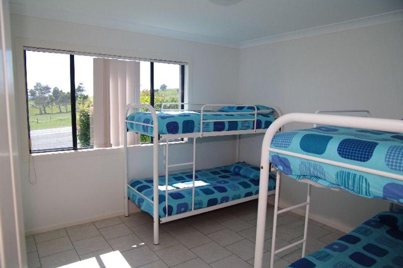 Dolphin Court 1, 1 Gowing Street photo 4