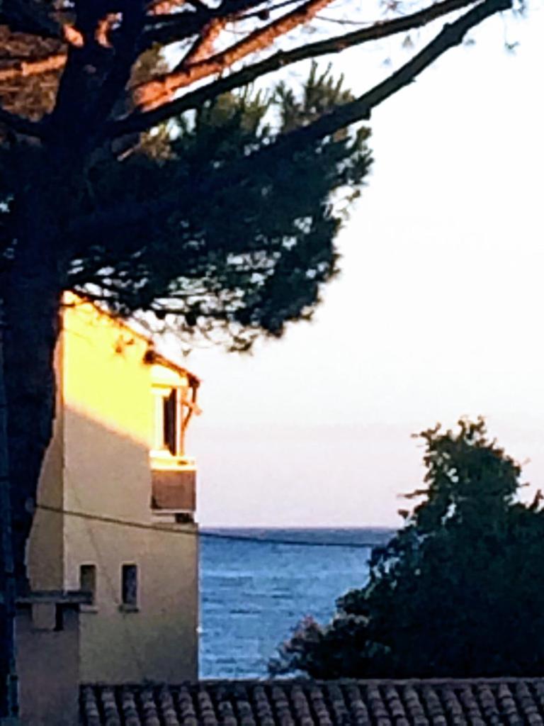 Le P’tit Littoral