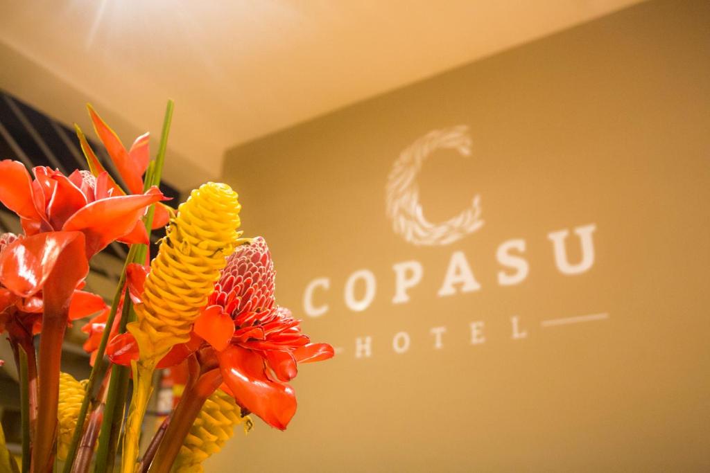 Copasu Hotel photo 1