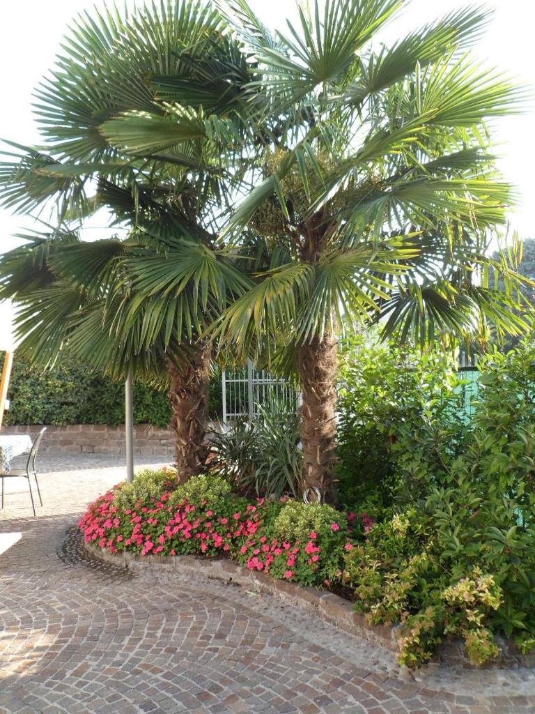 Florivana Boutique Hotel Ristorante photo 4