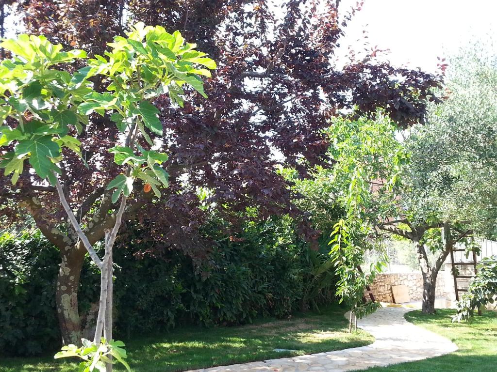 Summer Delight Apartments photo 3