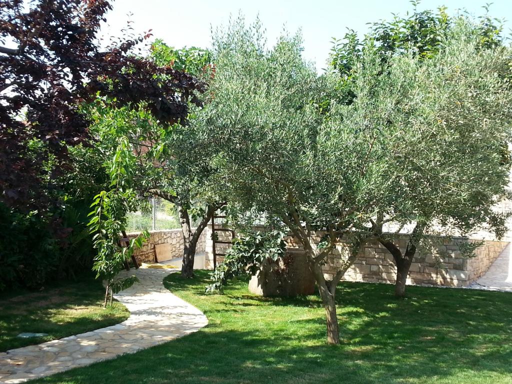Summer Delight Apartments photo 2