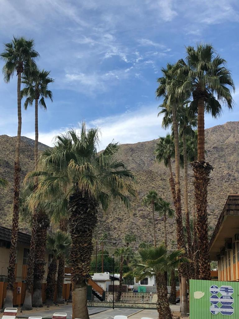 Desert Lodge photo 2