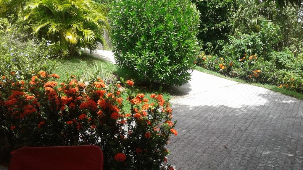 Bungalow le manikou photo 2