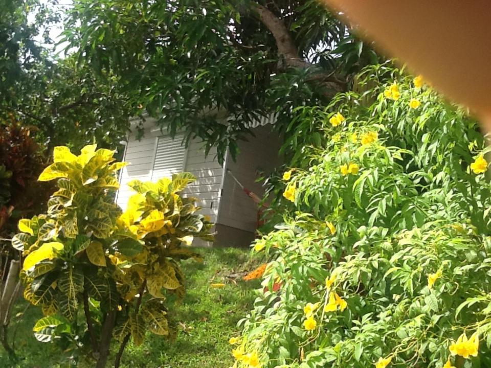 Bungalow le manikou photo 1