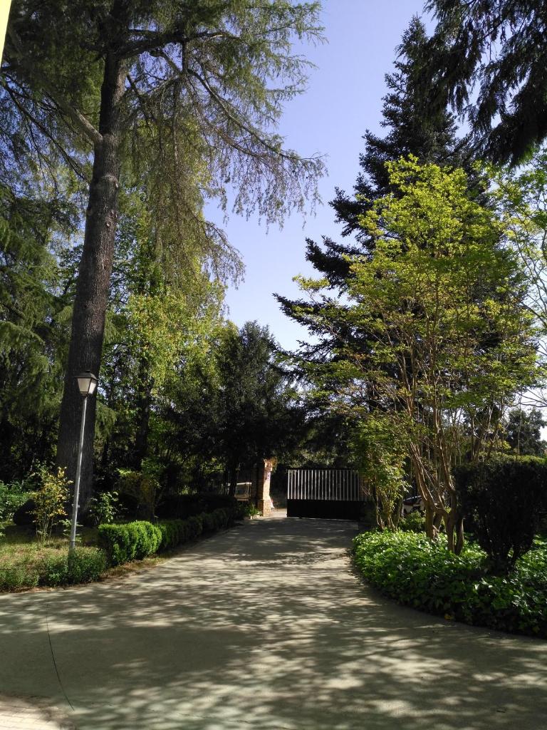 Hotel Rural Villa Onuba photo 4