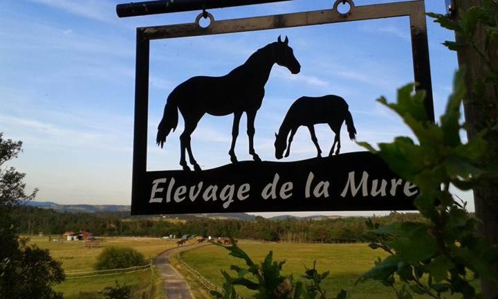 Gite de l'Elevage de la Mûre photo 1