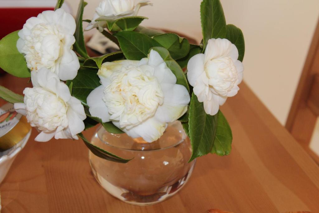 B&B Le Querce photo 3