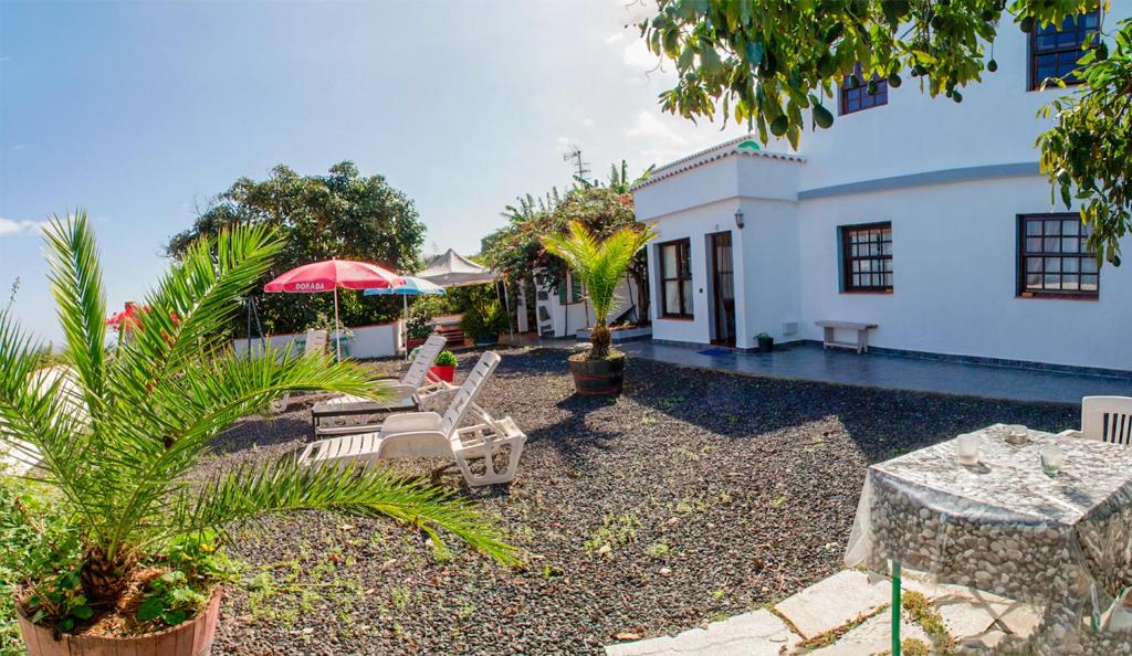 Bodega Goyo photo 2