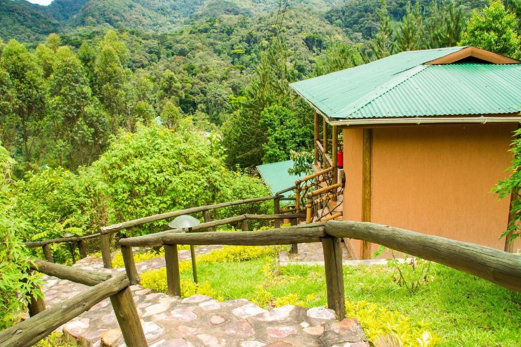 Ichumbi Gorilla Lodge photo 3