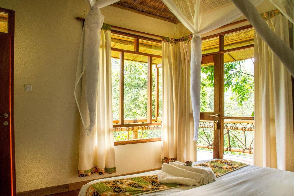 Ichumbi Gorilla Lodge photo 1