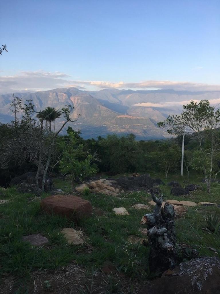 Finca San Pedro photo 4