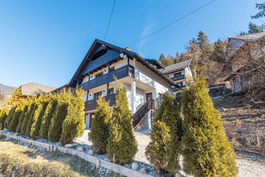 Villa Bohinca photo 1