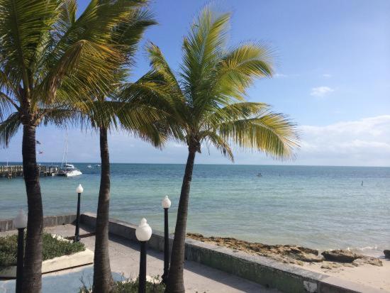 Coconut Beach Resort photo 2
