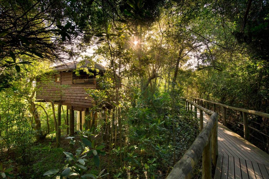 Tsala Treetop Lodge photo 4