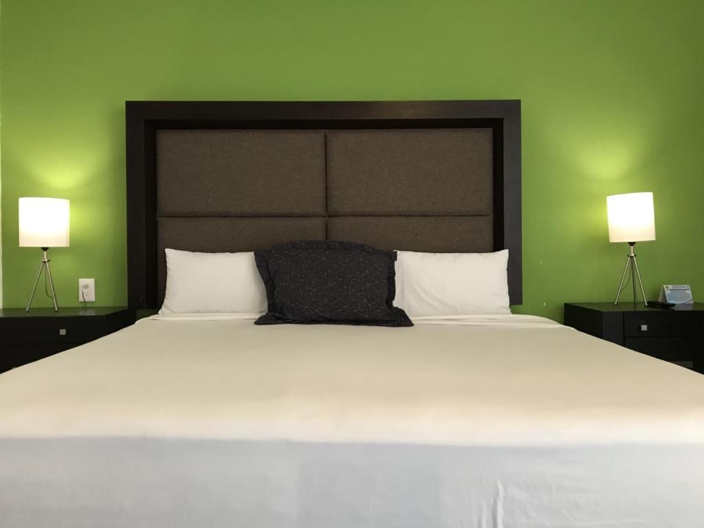 Двухместный (Номер с кроватью размера «king-size»), Hotel Green 16