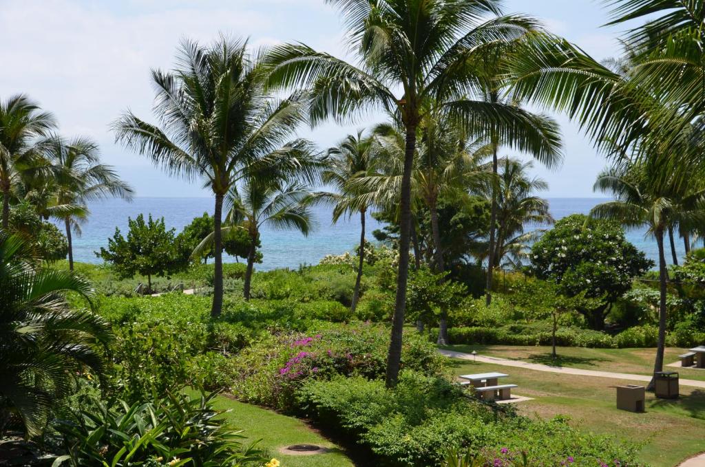 Konea 244 at Honua Kai image