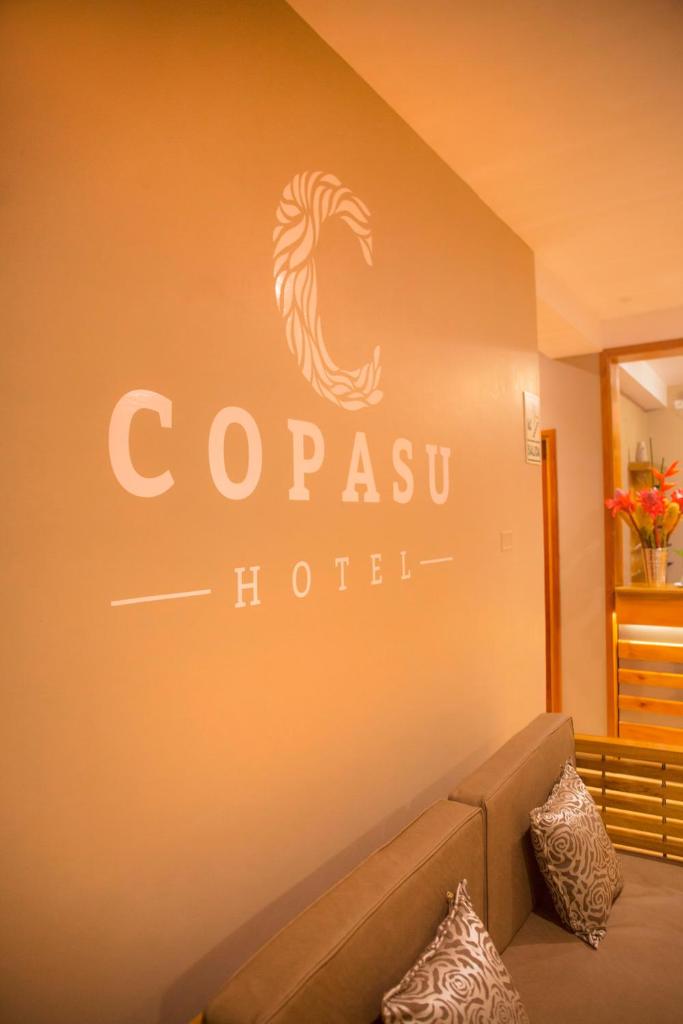 Copasu Hotel photo 2