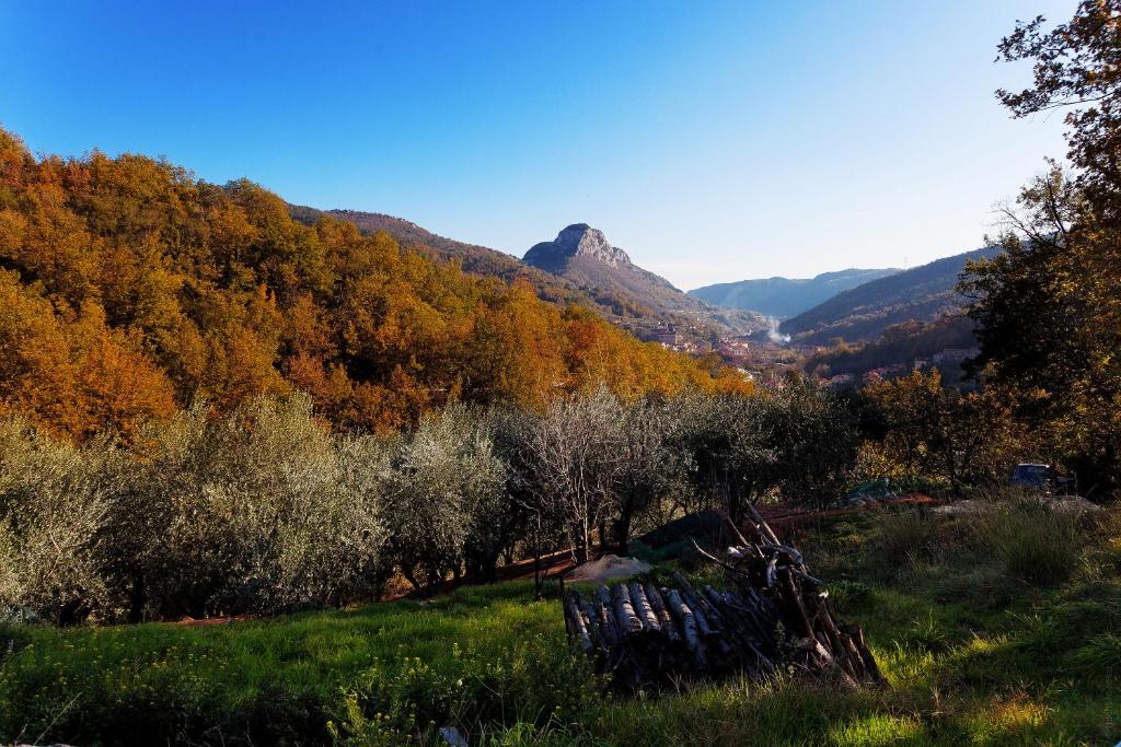 Locanda Piemontese photo 3