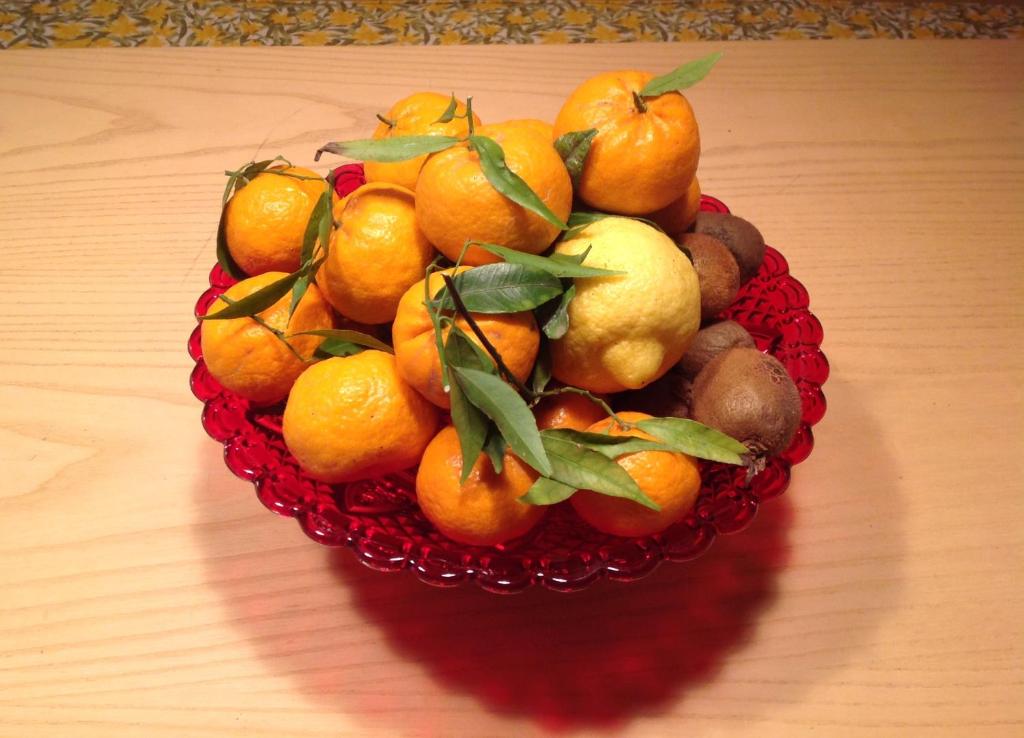 Casamia photo 4