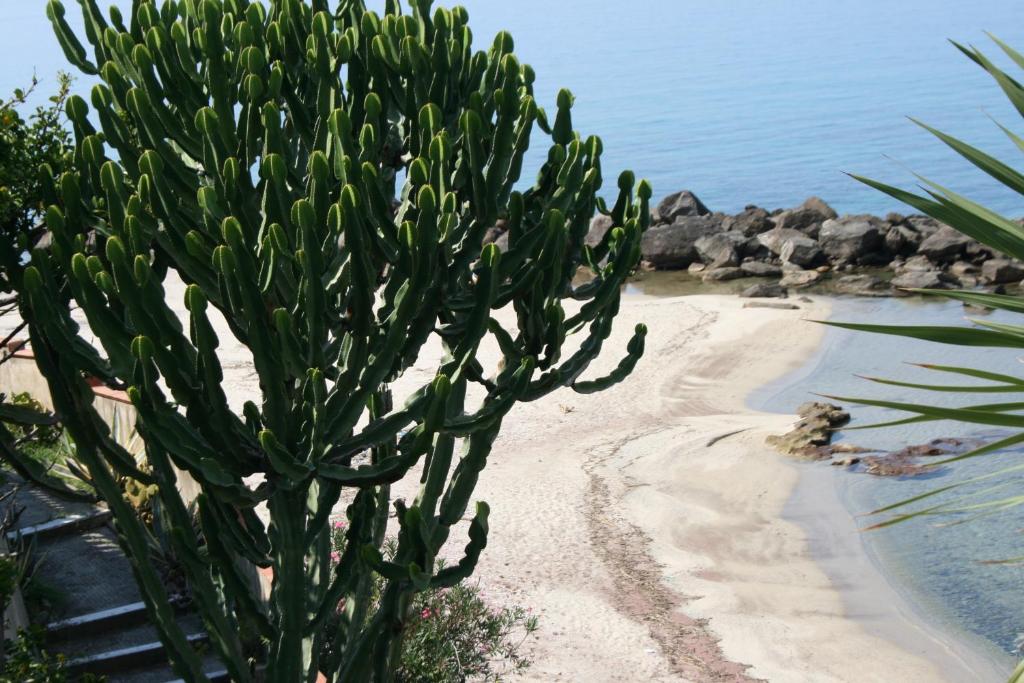 Villa Laura - sul mare photo 2