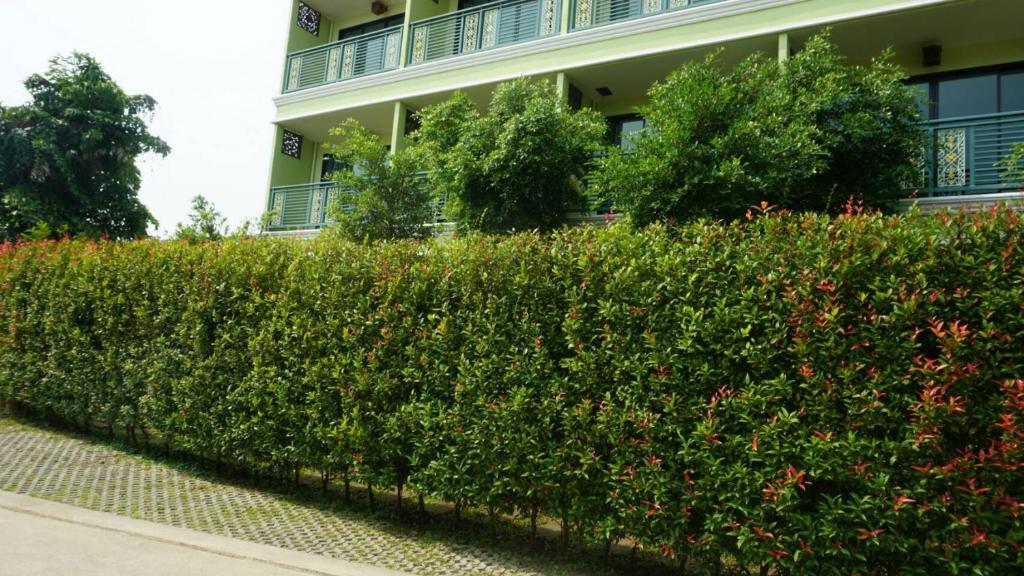 Garden Corner Resort & Hotel photo 4